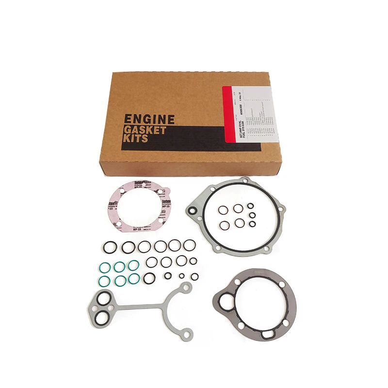 Cummins Engine Repair Kits K60 fuel pump repair kit 4089308 for diesel engine maintenance