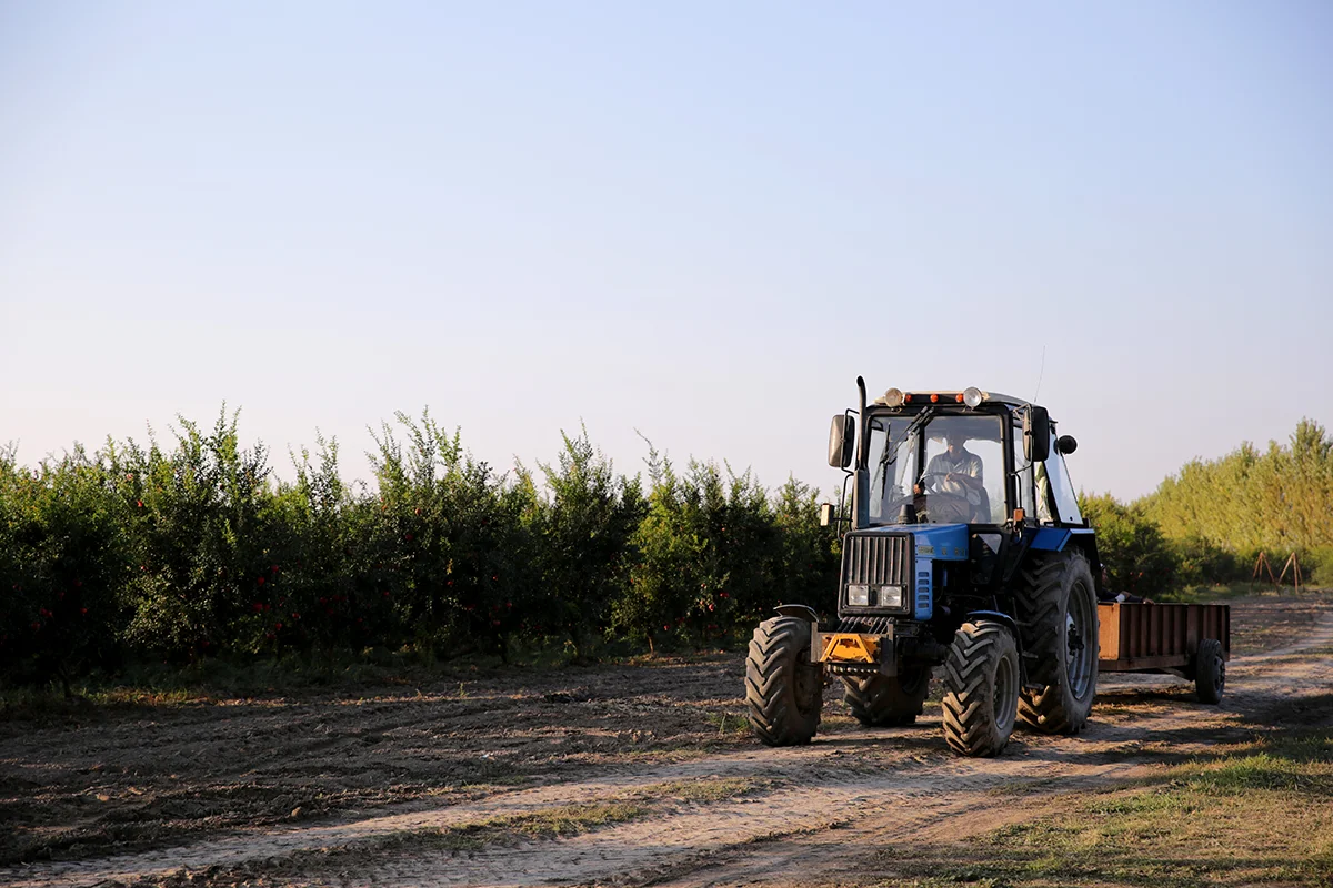 tractor in orchard powered by engines for agricultural machinery for farming operations