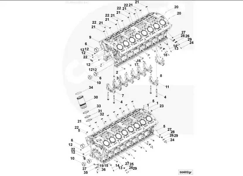 Cummins K60 Piston Cooling Nozzle 3640536 exploded view and components