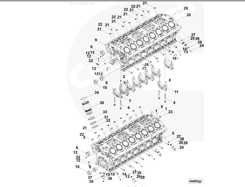 Cummins K60 Piston Cooling Nozzle 3651209 exploded view and internal components