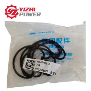 FAW 1004019B81D Snap ring, pison pin