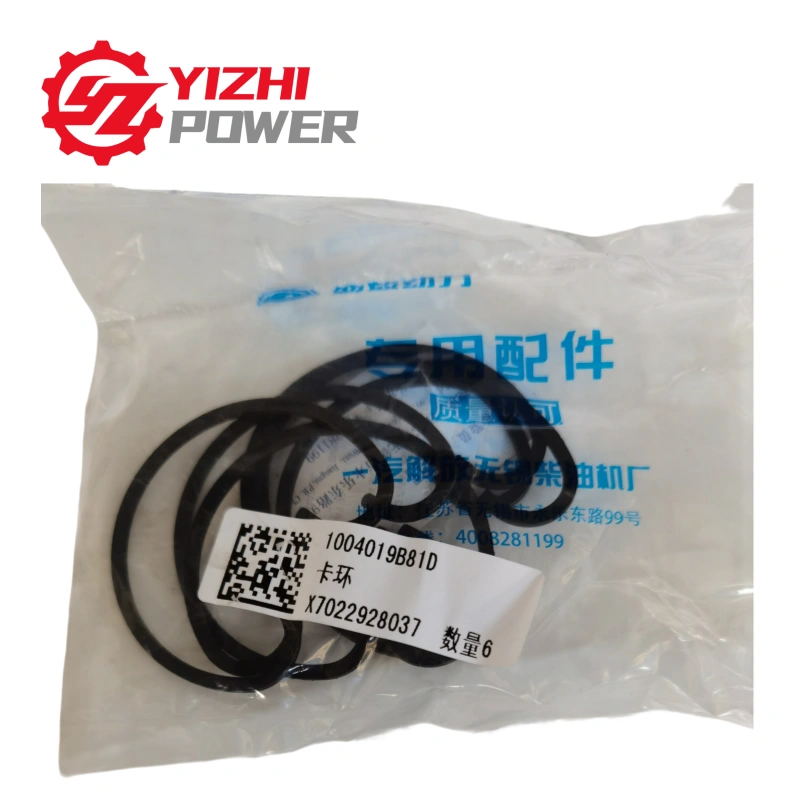 FAW 1004019B81D Snap ring, pison pin